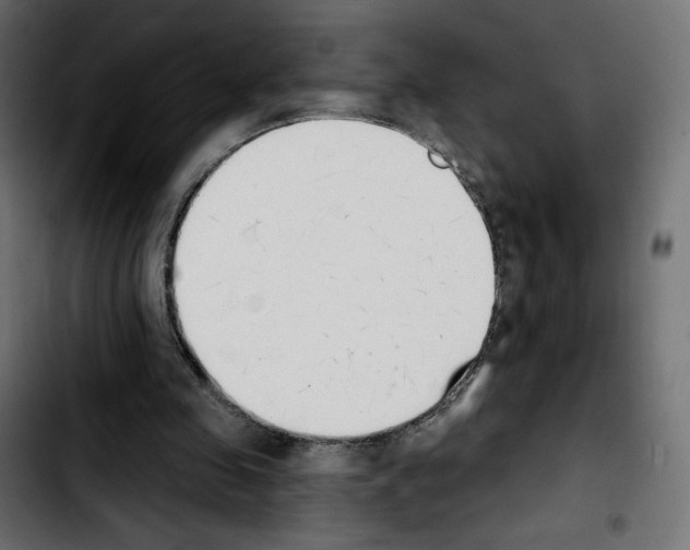X0000103930341200810311522