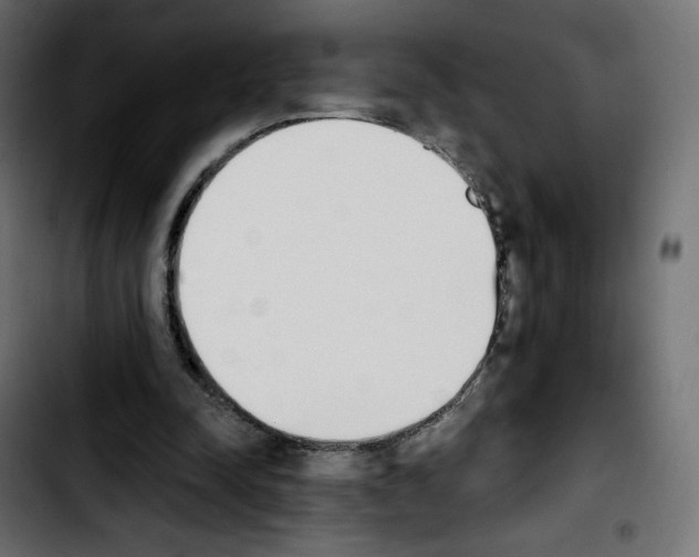 X0000103930342200810311522