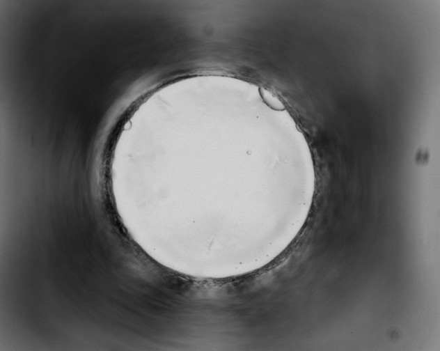 X0000103930343200810311522