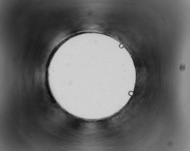 X0000103930344200810311522