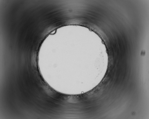 X0000103930345200810311522