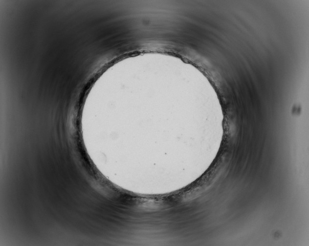 X0000103930347200810311522