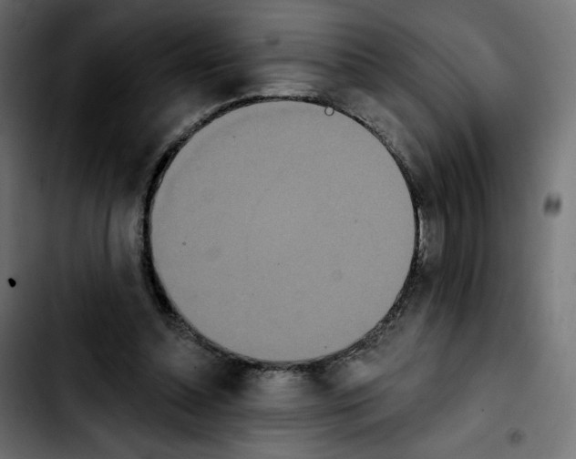 X0000103930348200810311522