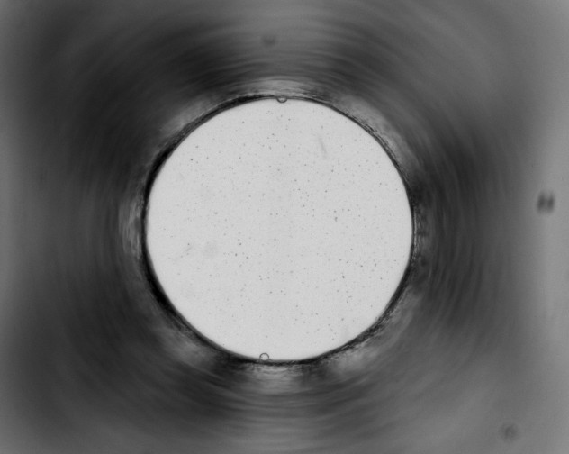 X0000103930349200810311522