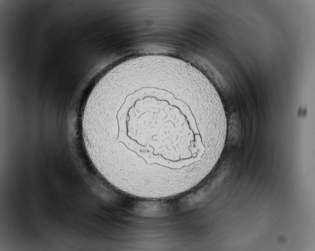 X0000103930351200810311522