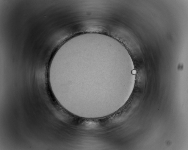 X0000103930352200810311522