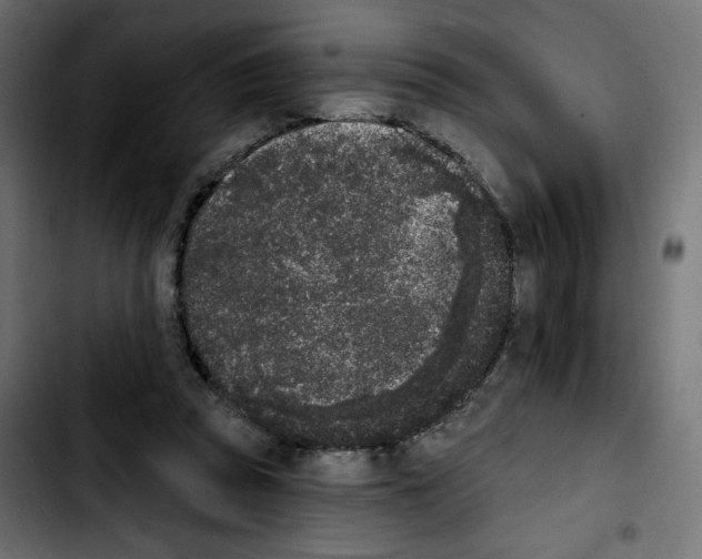 X0000103930353200810311522