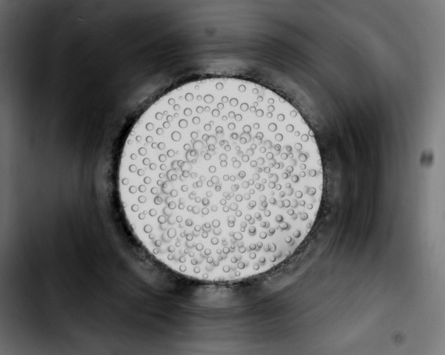 X0000103930354200810311522