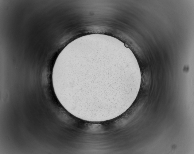 X0000103930355200810311522