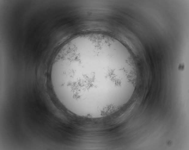X0000103930356200810311522