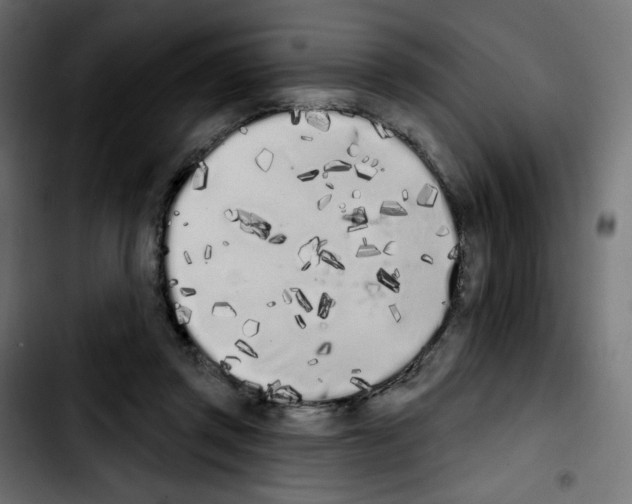 X0000103930357200810311522