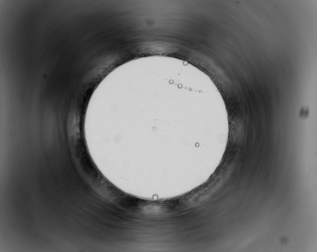 X0000103930358200810311522