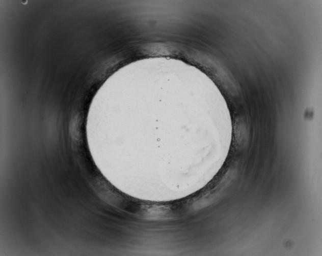 X0000103930359200810311522
