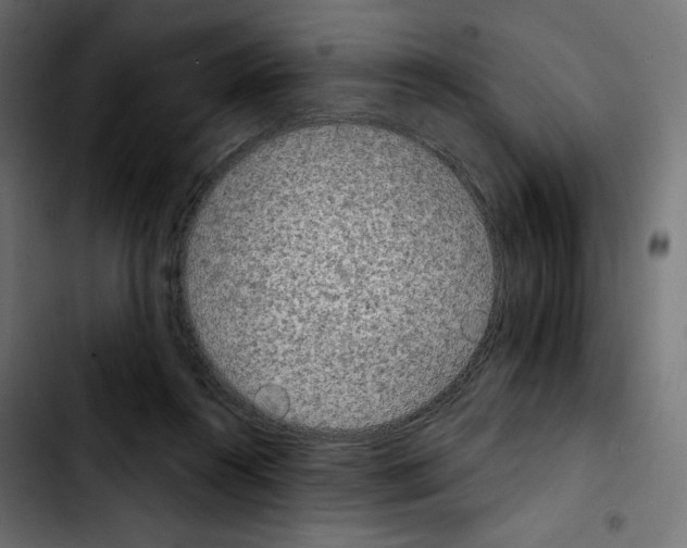 X0000103930360200810311522