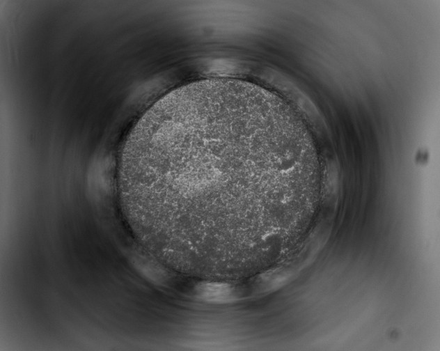 X0000103930361200810311522
