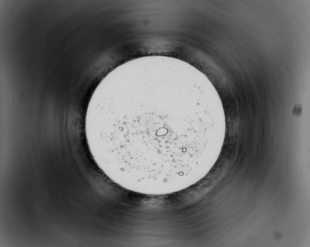 X0000103930362200810311522