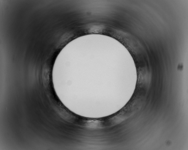 X0000103930363200810311522