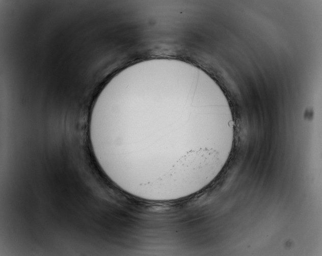 X0000103930364200810311522