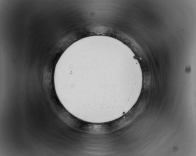 X0000103930365200810311522