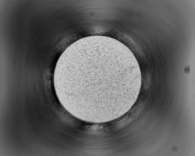 X0000103930366200810311522