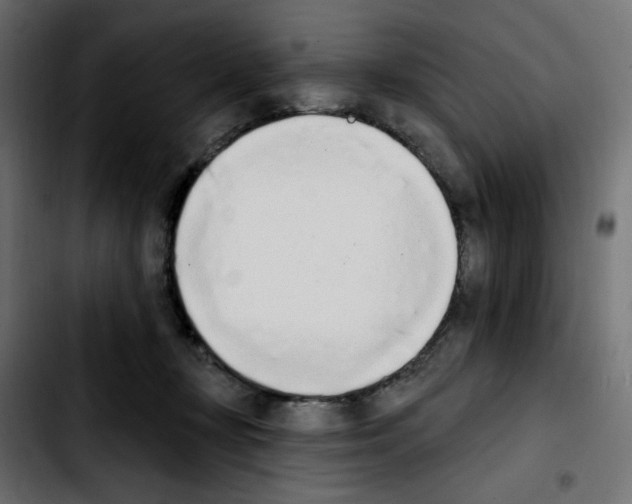 X0000103930367200810311522