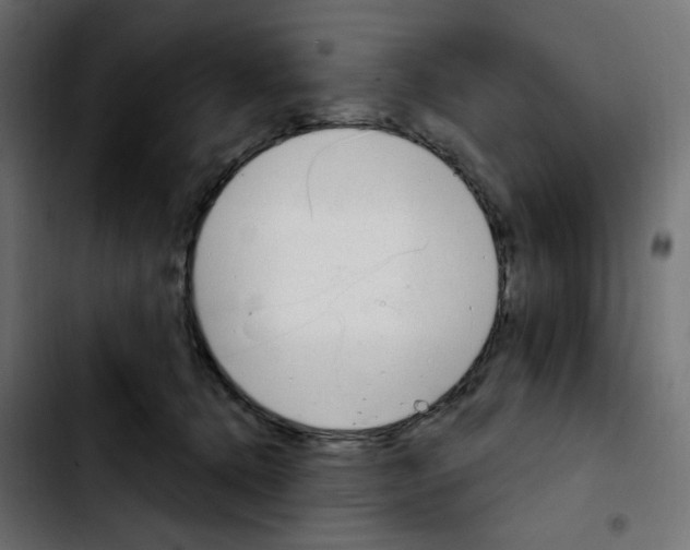X0000103930368200810311522
