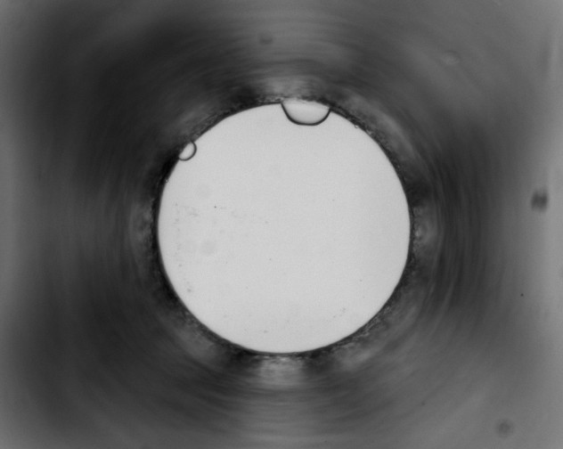 X0000103930369200810311522