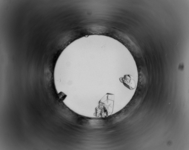 X0000103930371200810311522