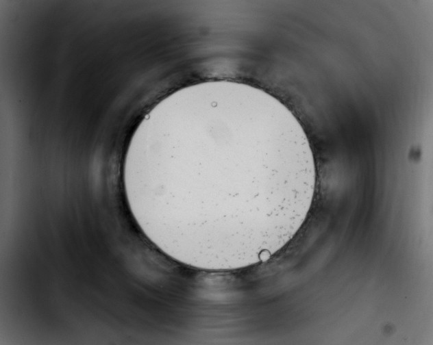 X0000103930372200810311522