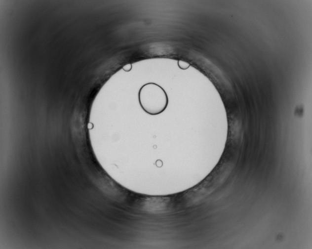 X0000103930373200810311522