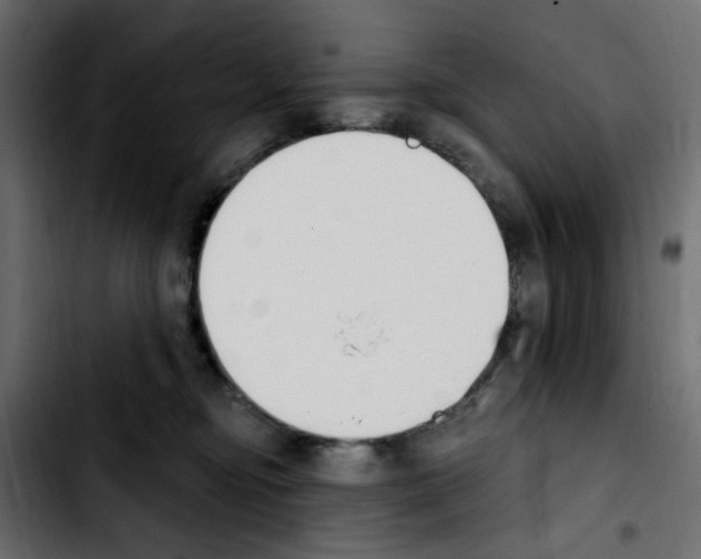 X0000103930374200810311522