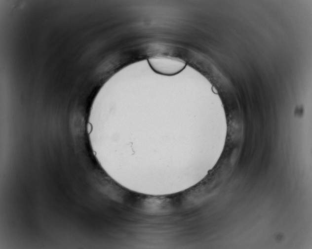 X0000103930375200810311522