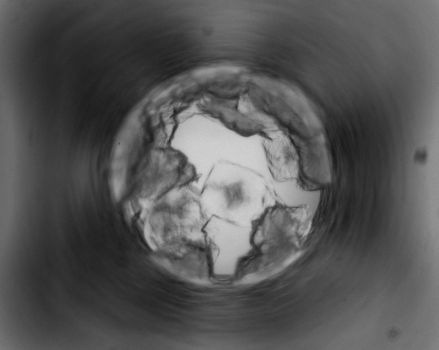 X0000103930377200810311523