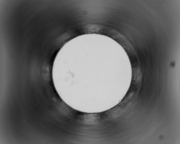 X0000103930378200810311523
