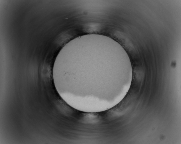 X0000103930380200810311523