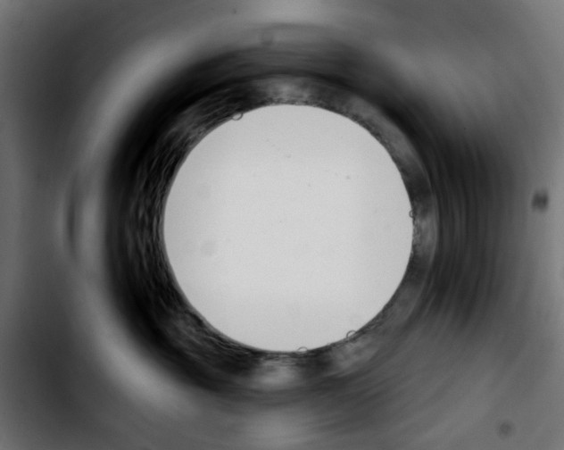 X0000103930381200810311523