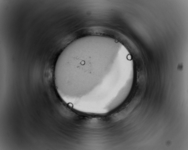 X0000103930382200810311523