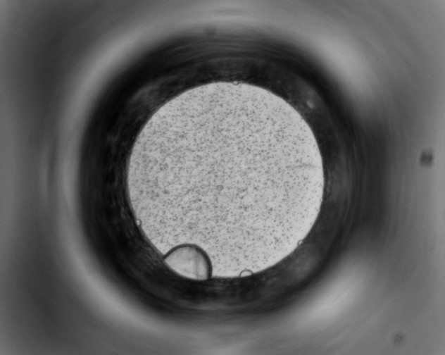 X0000103930383200810311523