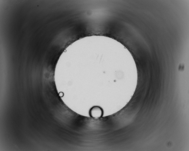 X0000103930384200810311523