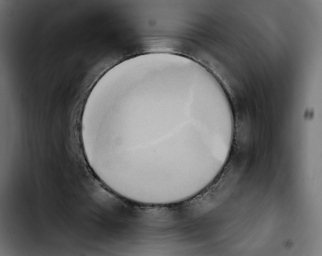 X0000103930385200810311522