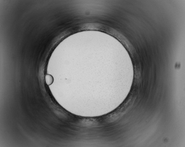 X0000103930386200810311522