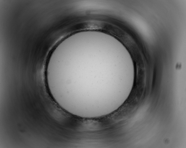 X0000103930387200810311522