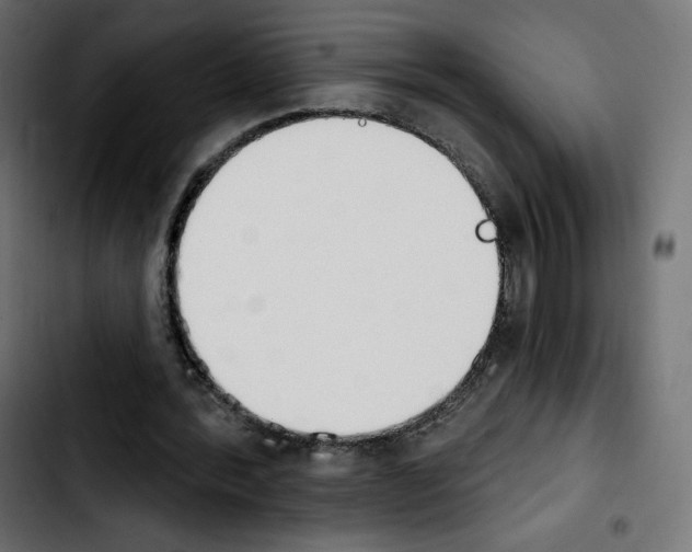 X0000103930388200810311522