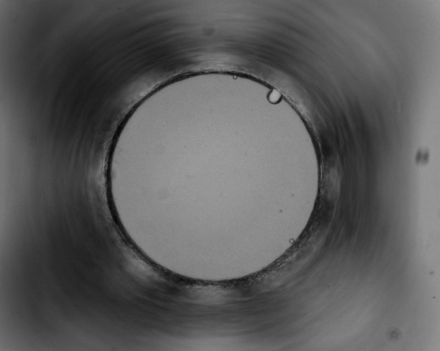 X0000103930389200810311522
