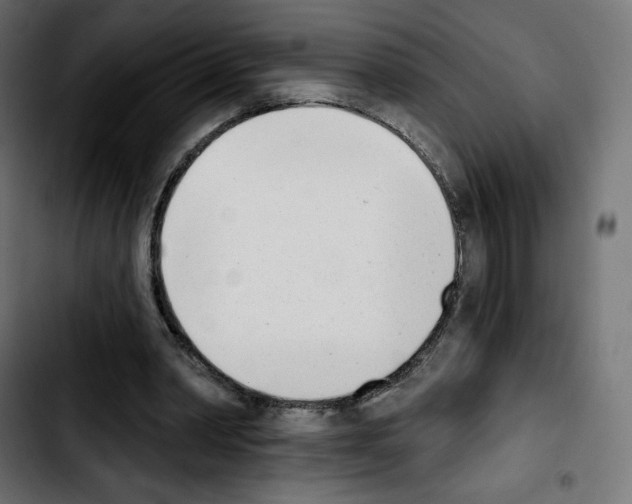 X0000103930390200810311522