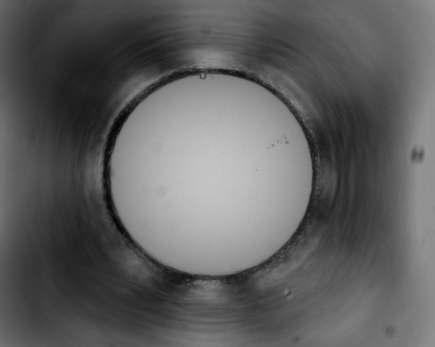 X0000103930391200810311522