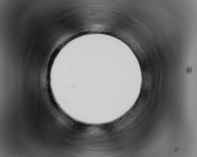 X0000103930392200810311522