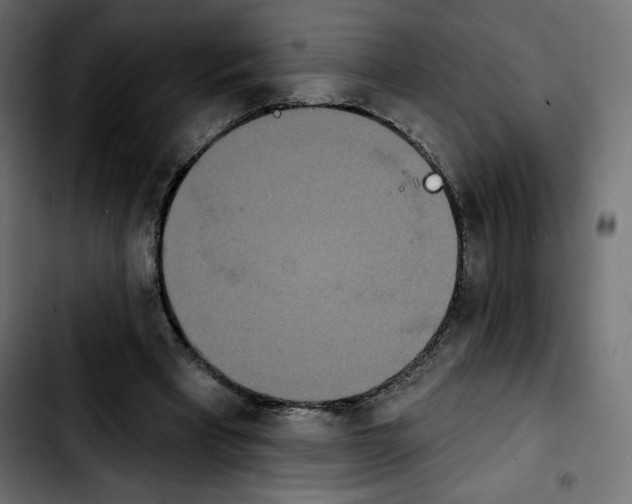X0000103930393200810311522