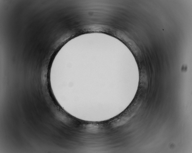 X0000103930394200810311522