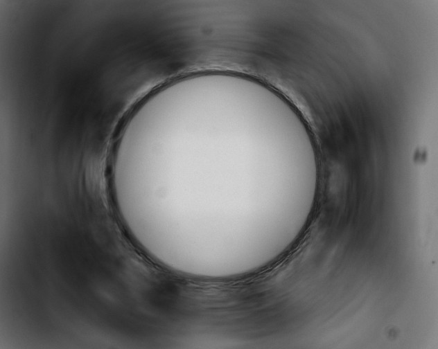X0000103930395200810311522